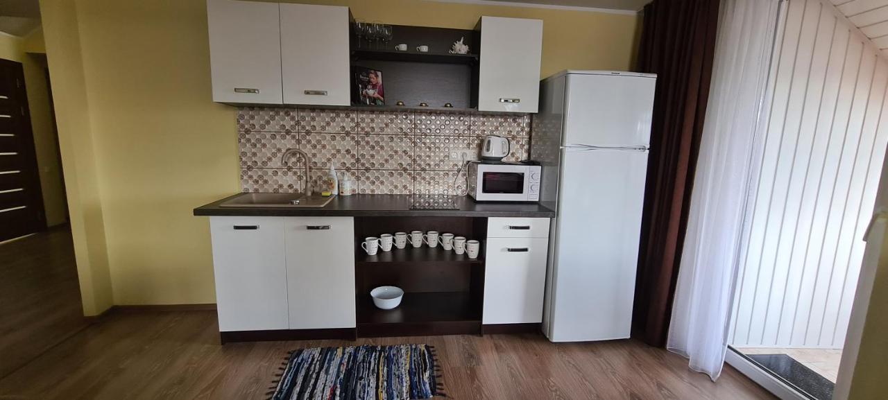 Appartement Sauliaus Apartamentai Vip à Panevėžys Extérieur photo